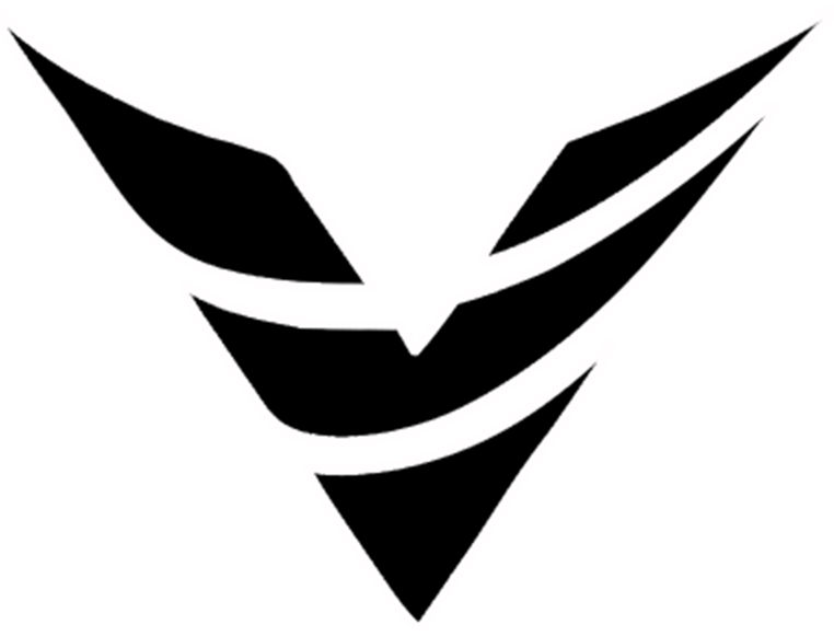 valor logo